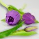 13. BOUQUET OF 7 PURPLE TULIPS 31 CM LIFE-LIKE SPRING DECORATION