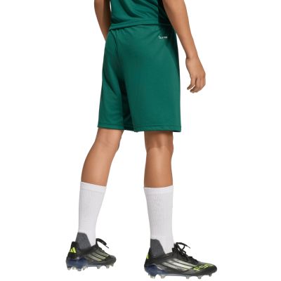 3. adidas Entrada 26 Kids' Shorts Green KE9831