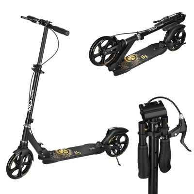 2. HM800 FLY SCOOTER GOLD NILS EXTREME