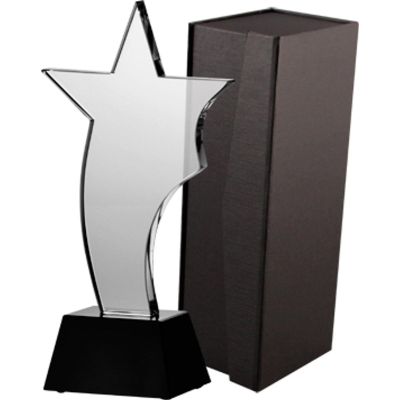 4. Glass trophy with case