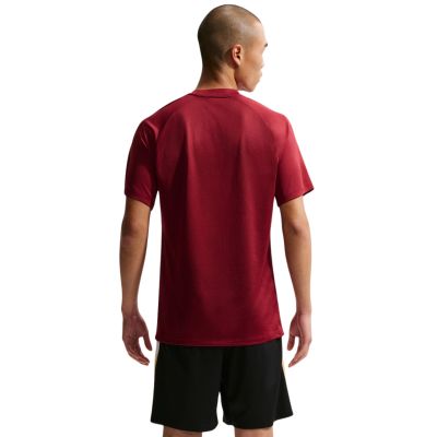 2. Nike Dri-Fit Park VIII Men's T-Shirt Burgundy HV8173 677