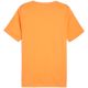 6. Puma Essential T-shirt M 847382 58