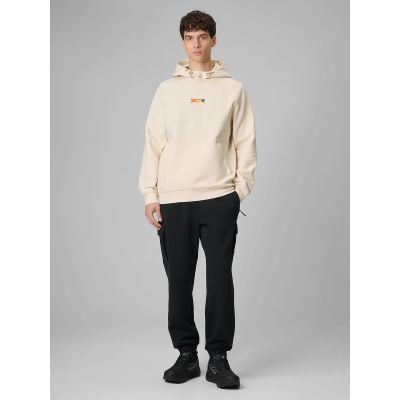 8. Men's regular hooded sweatshirt 4F 4FRSS26TSWSM2894-12S
