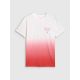 4. Men's regular printed T-shirt 4F 4FRAW25TTSHM3226-62S