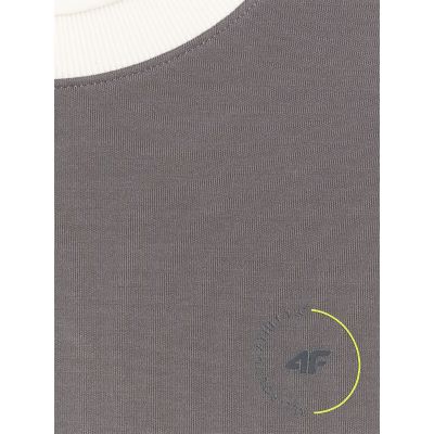 8. Men's sweatshirt without zipper, without hood, 4F 4FRAW25TSWSM2457-23S