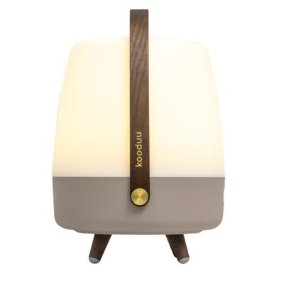 3. Koody Lite-up Play 2.0 Earth Portable LED Lamp with Built-in JBL Speaker