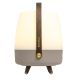 3. Koody Lite-up Play 2.0 Earth Portable LED Lamp with Built-in JBL Speaker