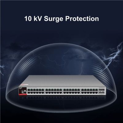 3. Ruijie L2+ Managed Switch | 48 x 1Gbit ports + 4 x 2.5Gbit SFP ports | 2 fans, 1 built-in AC power supply | Rackmount
