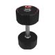 24. Body Sculpture TPU dumbbell BW 133 12 KG
