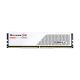 2. G.SKILL RIPJAWS S5 DDR5 2X16GB 6000MHZ CL30 XMP3 WHITE F5-6000J3040F16GX2-RS5W