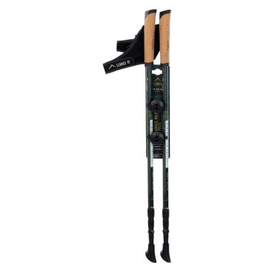 6. Nordic Walking poles Elbrus Cliogo 92800350260