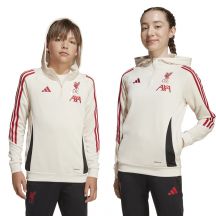 Adidas Liverpool FC Hoody Jr JV9019 sweatshirt
