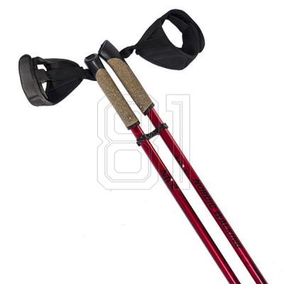 5. Nordic Walking Nils Extreme NW802 poles