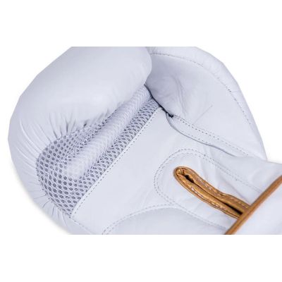 9. 10oz Boxing Gloves - Spirit - Valor Series