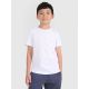 Boy's regular plain T-shirt 4F 4FJRMM00TTSHM3254-10S