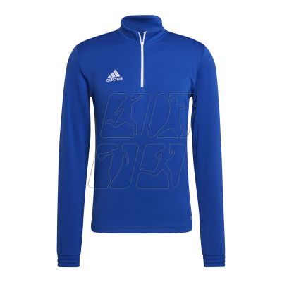 Adidas Entrada 22 M HG6286 training top