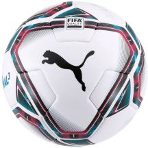 Puma teamFINAL 21.3 Fifa Quality ball 083306 01