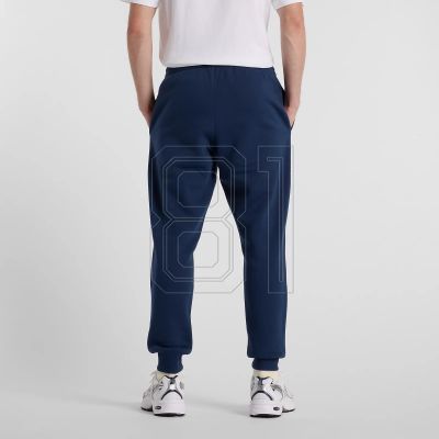 12. New Balance Sport Graphic Fleece Jogger M MP51940NNY