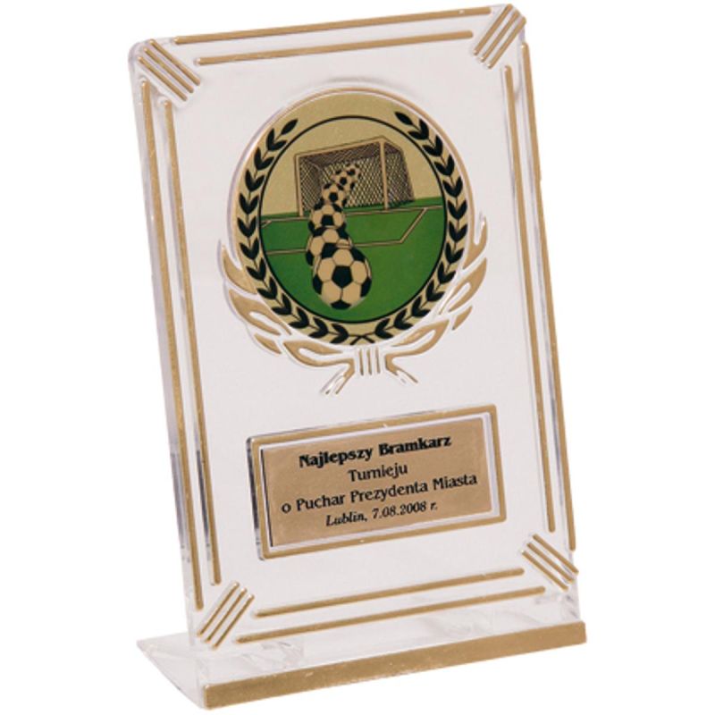 6. Plastic trophy - transparent - gold with space for a 50mm sticker and a 50mmX20mm TM plaque
