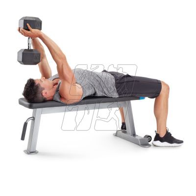 7. Proform Carbon Strength PFBE09620 horizontal bench