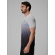 5. Men's quick-drying regular training T-shirt 4F 4FRSS26TFTSM2458-25A