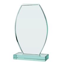 Glass Trophy with Case