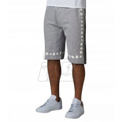 2. adidas Originals Shorts Williams M AO2997