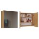3. POLA BATHROOM CABINET 2 DOORS ARTISAN MIRROR