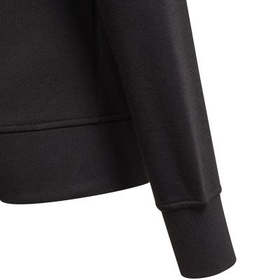 7. Adidas Essentials Big Logo Jr GP0040 sweatshirt