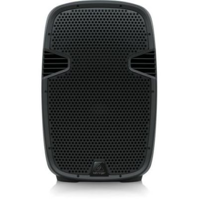 2. Behringer PK115 1x15" Passive Speaker