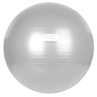 207. PROfit 55cm Gymnastics Ball with Pump DK2102