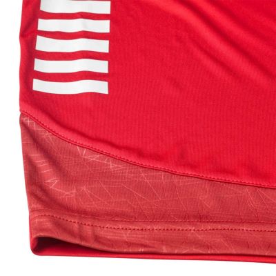 2. SELECT SPAIN v25 football shorts red