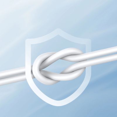 12. Joyroom JR-EC06 USB-C in-ear headphones - silver