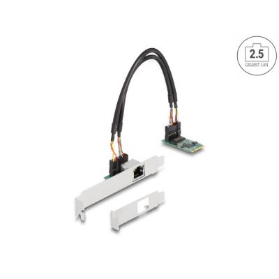 2. DeLOCK M.2 Converter with Key B+M 1 x RJ45 2.5 Gigabit LAN
