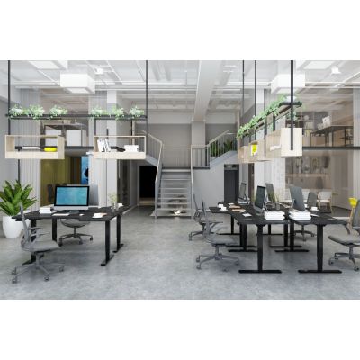 3. Digitus Electrically Adjustable Table Frame, Two Motors, 3-Stage, Black