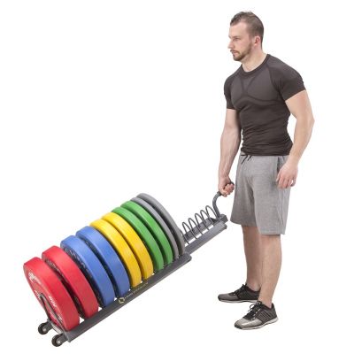 2. HMS Premium WPT01 Weight Cart