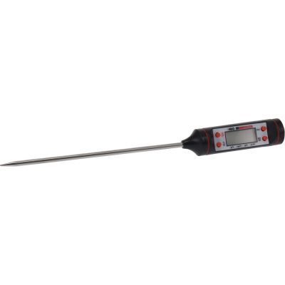 GRILL THERMOMETER 24CM