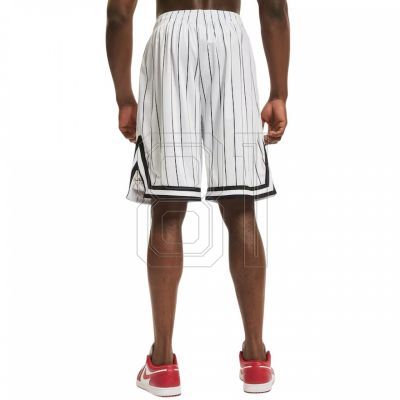 5. Karl Kani Small Signature Pinstripe Mesh Short M 6014921