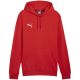 5. Puma Team Goal Casuals Hoody M 658618 01