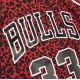 3. Mitchell & Ness NBA Chicago Bulls Scottie Pippen Jersey Swingman