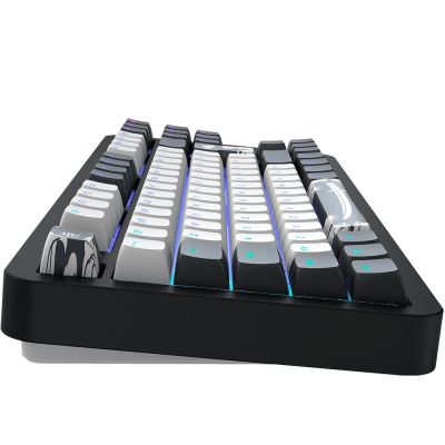11. Dark Project DPKB_BUSHIDO_87_ISO Gaming Keyboard USB QWERTZ Danish, English, Finnish, German, Scandinavian, Norwegian, Spanish, Swedish, British English, UK International Black