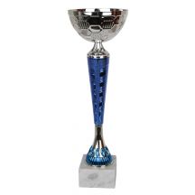 The 1897 Triumph Cup