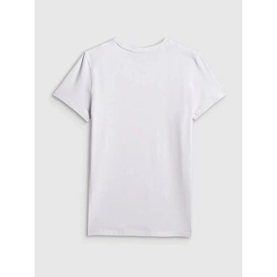 5. Men's plain cotton T-shirt 4F 4FWMM00TTSHM3340-10S