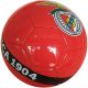 6. BENFICA FOOTBALL R.5