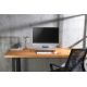 2. DIGITUS SLIM MONITOR STAND UP TO 10KG ALUMINUM DA-90369
