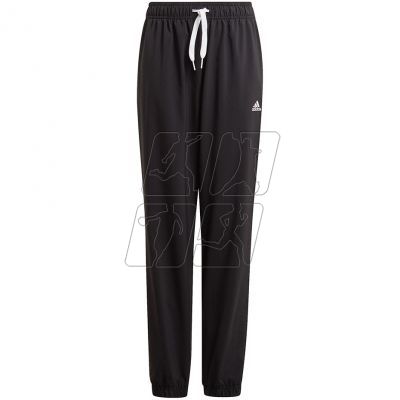 Adidas Essentials Stanfrd Pant Jr GN4099