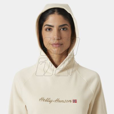 5. Helly Hansen Core Graphic Hoodie W 54239 034