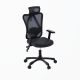 42. Ergonomic office chair ACTIVEJET T5 black