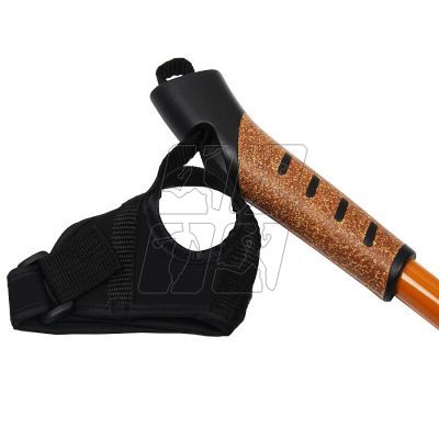 6. Trekking stick SM3-B12/C3