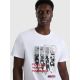 4. Men's regular printed T-shirt 4F 4FRAW25TTSHM3364-10S